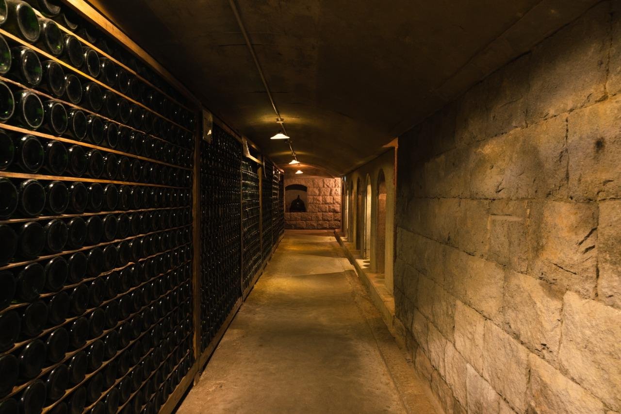 🍇 거봉 와이너리(쿄호 와이나리) 이미지 7